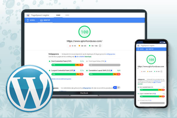 Xplorhonduras page speed